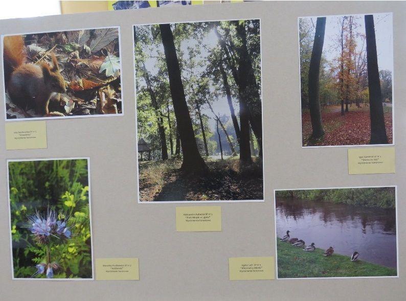 Zdj. nr. 3. Przyroda Lipna- Międzyszkolny Konkurs Fotograficzno-Przyrodniczy