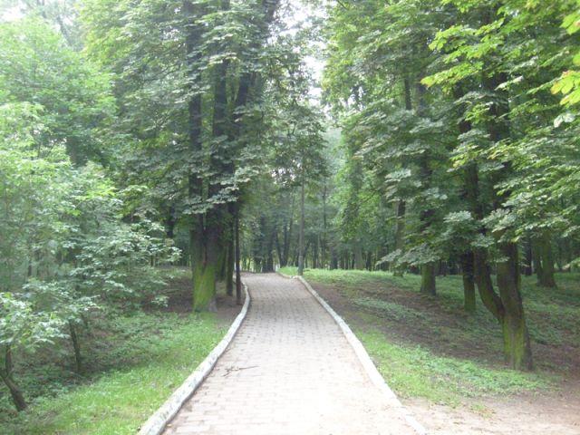 Park Miejski