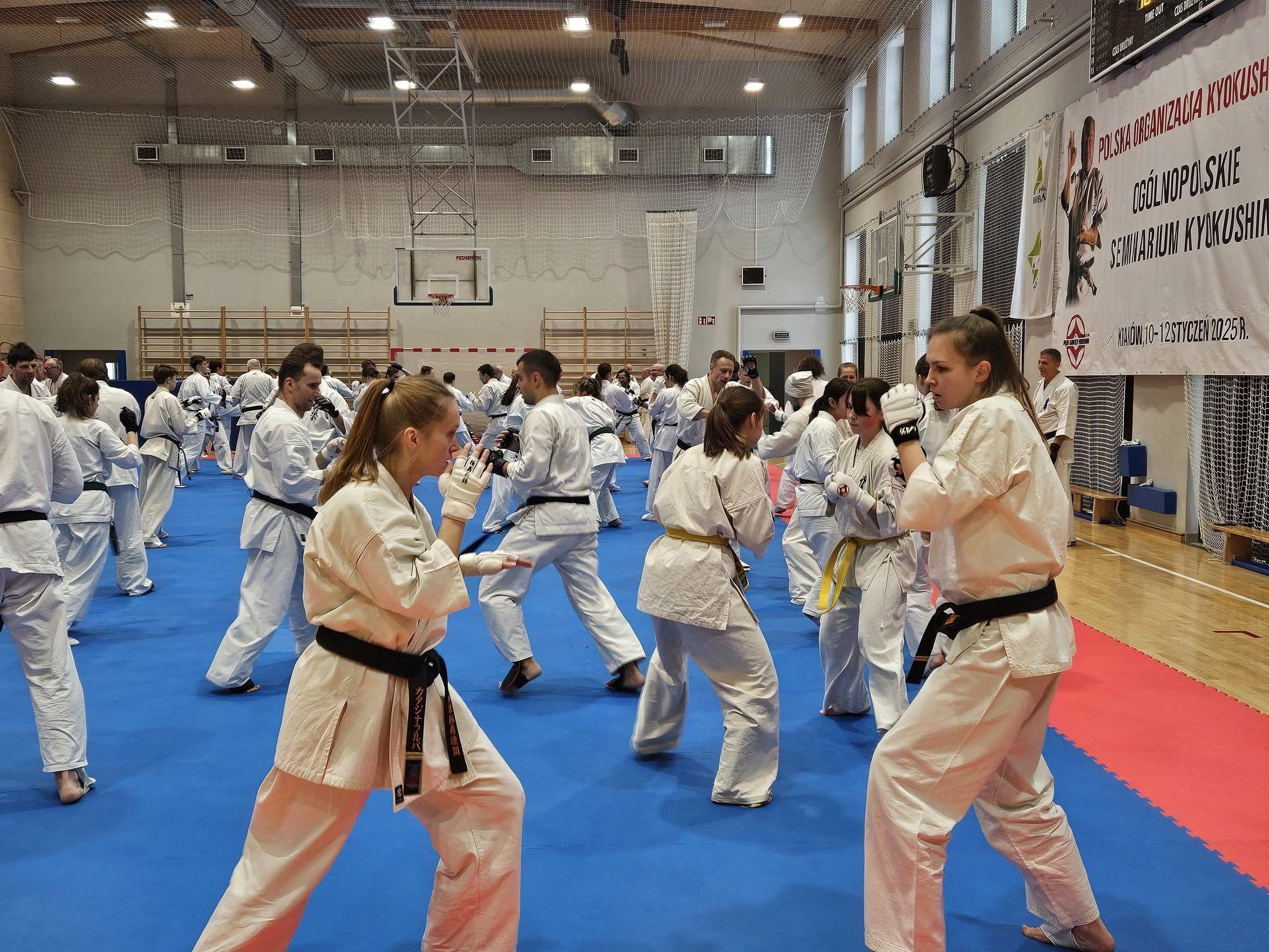 Ogólnopolskie Seminarium Karate Kyokushin - 10-12.01.2025 r., Kraków