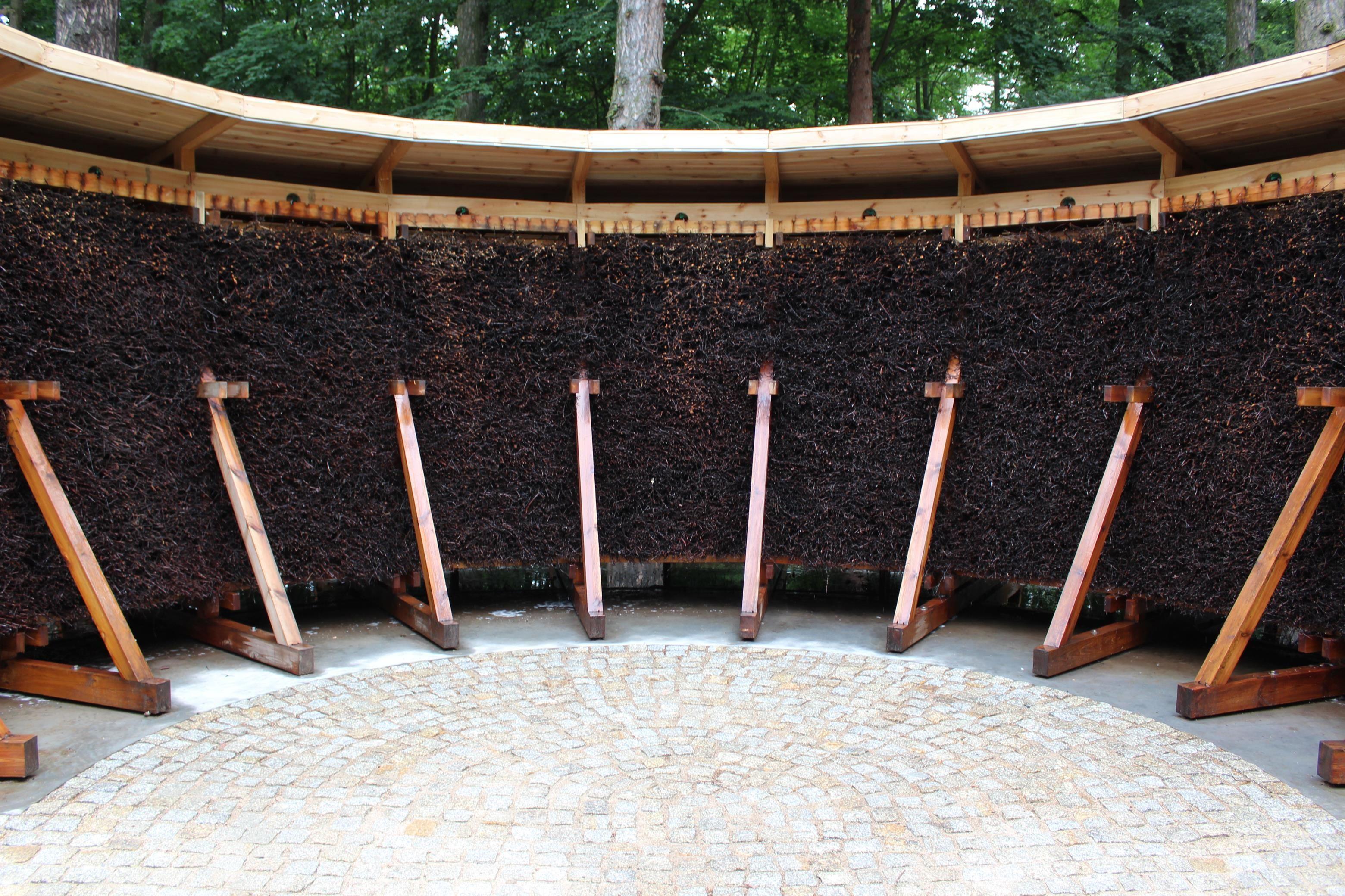 Zdj. nr. 5. Metamorfoza parku miejskiego