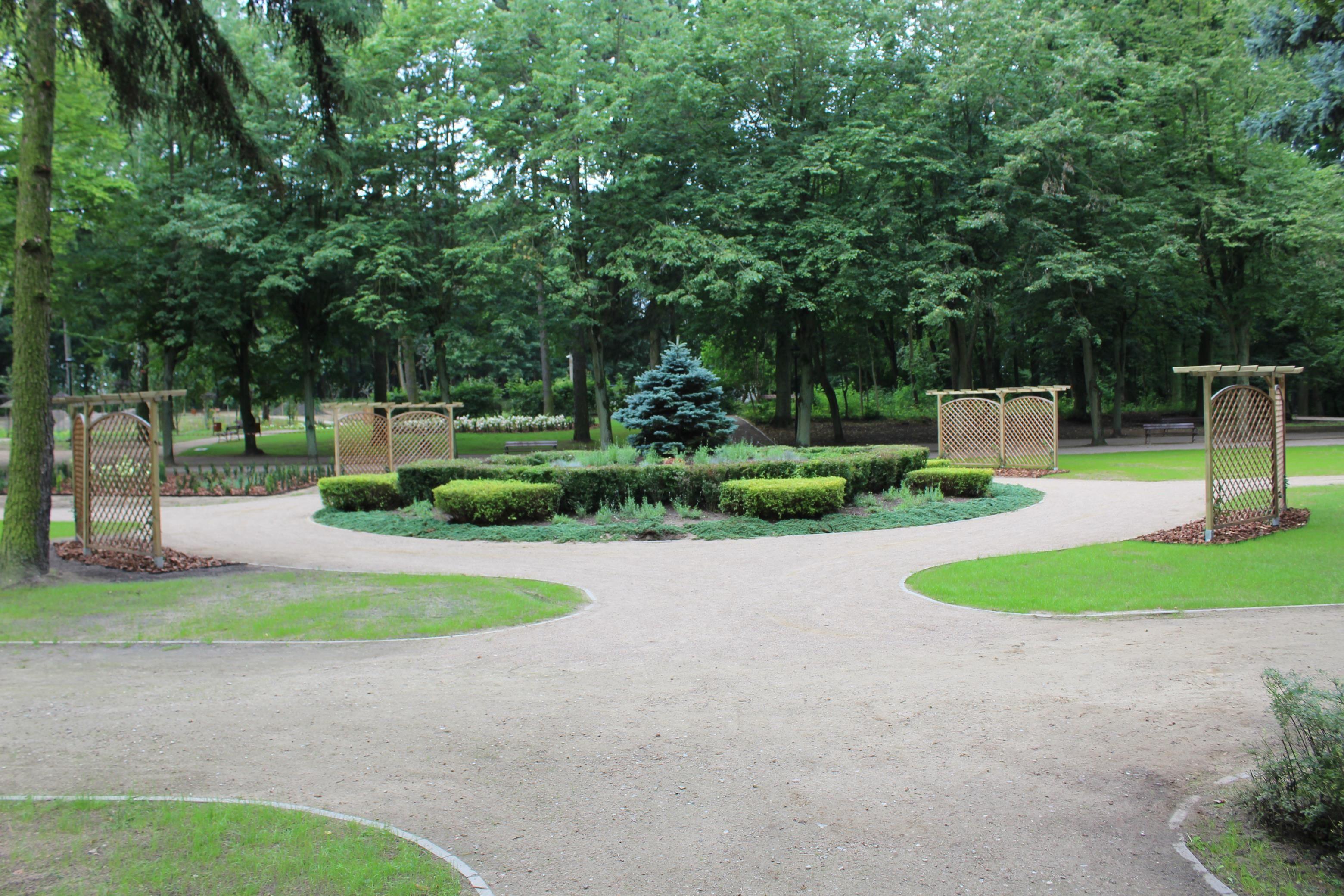 Zdj. nr. 7. Metamorfoza parku miejskiego