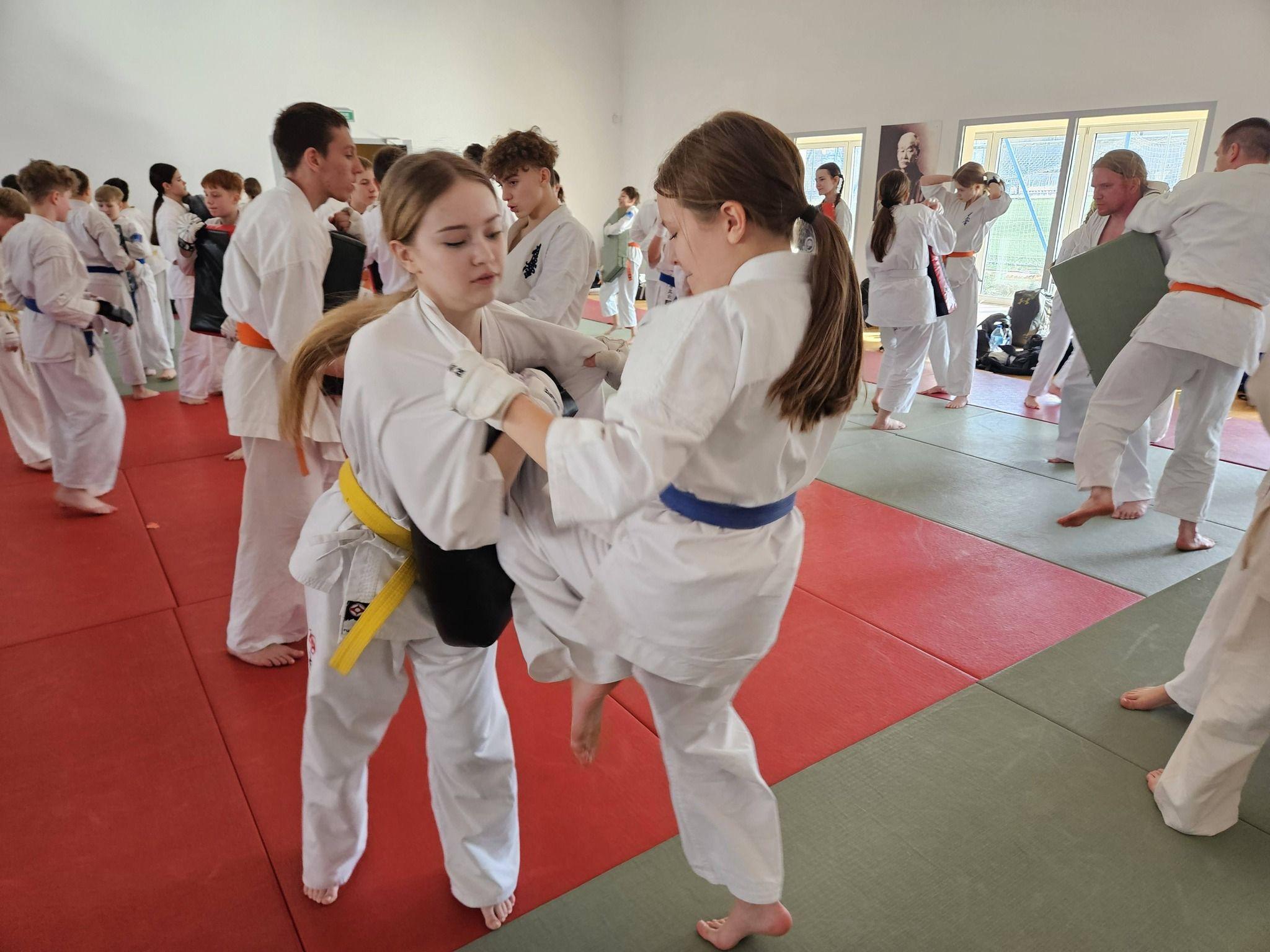 Zdj. nr. 9. Seminarium kumite - Karate Kyokushin w Bydgoszczy - 28 lutego 2026 r.