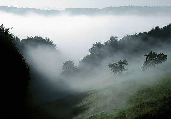 (Aktualizacja 27.02.2025 r.) Ostrzeżenia meteorologiczne: gęsta mgła