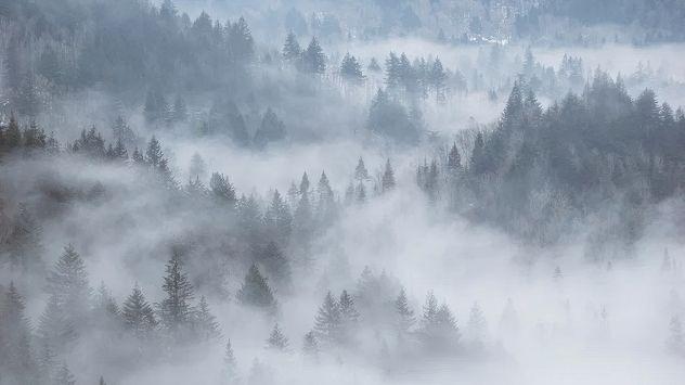 (Aktualizacja 4.12.2025 r.) Ostrzeżenia meteorologiczne: gęsta mgła